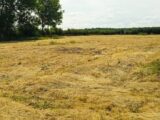 Maison à construire à Breteuil (27160) 2142212-11218annonce120250426NWEop.jpeg Les Maisons Extraco