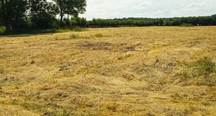Breteuil Maison neuve - 2142212-11218annonce120250426NWEop.jpeg Les Maisons Extraco