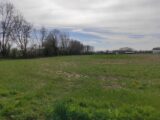 Terrain à bâtir à Bouquelon (27500) 2142162-11214annonce120250426DDwMq.jpeg Les Maisons Extraco