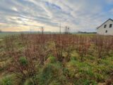 Maison à construire à Touffreville-la-Corbeline (76190) 2141906-11217annonce120250426Bw45f.jpeg Les Maisons Extraco