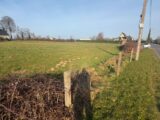 Maison à construire à Auberville-la-Campagne (76170) 2141691-11217annonce120250426NHuSs.jpeg Les Maisons Extraco