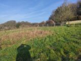 Maison à construire à Corneville-sur-Risle (27500) 2083599-11214annonce120250218eB3Fz.jpeg Les Maisons Extraco