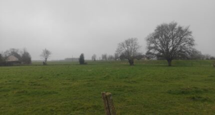 Le Bec-Hellouin Maison neuve - 2072071-11214annonce120250206HEuTs.jpeg Les Maisons Extraco