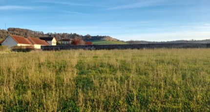 Douvrend Maison neuve - 2143680-4093annonce120250429n7eq2.jpeg Les Maisons Extraco