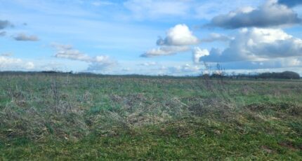 Civry-la-Forêt Maison neuve - 2145861-11218annonce120250430hW5gB.jpeg Les Maisons Extraco
