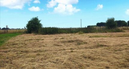 Surtauville Maison neuve - 2143449-4102annonce120250429zvZ7O.jpeg Les Maisons Extraco