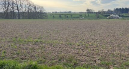 Fresquiennes Maison neuve - 2146013-11217annonce2202505010aB4t.jpeg Les Maisons Extraco