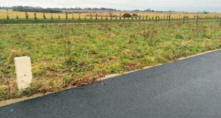 Fauville-en-Caux Maison neuve - 2146044-11217annonce2202505015DsbF.jpeg Les Maisons Extraco