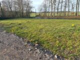 Maison à construire à Fréville (76190) 2145877-11217annonce120250501lGp0o.jpeg Les Maisons Extraco