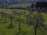 Maison à construire à Cambremer (14340) 2145968-11215annonce120250430kQVq8.jpeg Les Maisons Extraco
