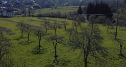 Cambremer Maison neuve - 2145968-11215annonce120250430kQVq8.jpeg Les Maisons Extraco