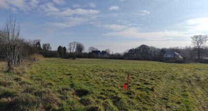 Auberville Maison neuve - 2147350-11216annonce320250502sMO93.jpeg Les Maisons Extraco