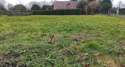 Drubec Terrain à bâtir - 2146831-11216annonce420250502qTvBv.jpeg Les Maisons Extraco