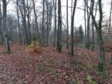 Maison à construire à Conches-en-Ouche (27190) 2147839-11219annonce120250503fZi1o.jpeg Les Maisons Extraco