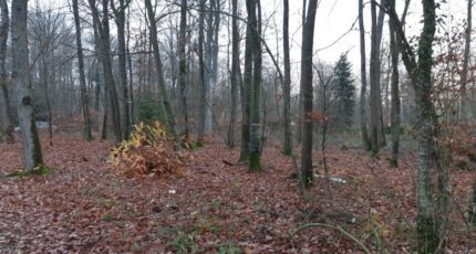 Conches-en-Ouche Maison neuve - 2147839-11219annonce120250503fZi1o.jpeg Les Maisons Extraco