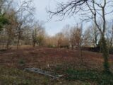 Maison à construire à Thoiry (78770) 2148002-11219annonce1202505031OTqW.jpeg Les Maisons Extraco