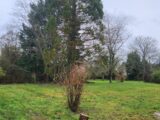 Maison à construire à Chaufour-lès-Bonnières (78270) 2148078-11218annonce1202505046L8UG.jpeg Les Maisons Extraco