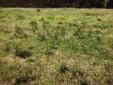 Maison à construire à Amfreville-sur-Iton (27400) 2146871-6236annonce120250502T3zxs.jpeg Les Maisons Extraco