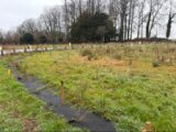 Maison à construire à Hautot-Saint-Sulpice (76190) 2152050-11217annonce120250508IHtxA.jpeg Les Maisons Extraco