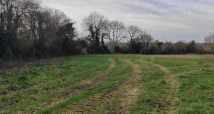 Pont-l'Évêque Terrain à bâtir - 2160900-11216annonce420250517Qtsyw.jpeg Les Maisons Extraco
