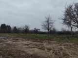 Terrain à bâtir à Canapville (14800) 2160902-11216annonce320250517Rr3RD.jpeg Les Maisons Extraco