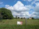 Maison à construire à Sacquenville (27930) 2161215-11219annonce120250516uUPx6.jpeg Les Maisons Extraco