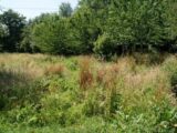Maison à construire à Saint-Benoît-d’Hébertot (14130) 2161445-11215annonce120250518apyMO.jpeg Les Maisons Extraco