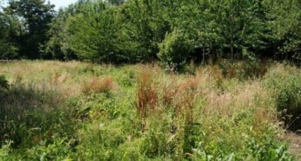 Saint-Benoît-d'Hébertot Maison neuve - 2161445-11215annonce120250518apyMO.jpeg Les Maisons Extraco
