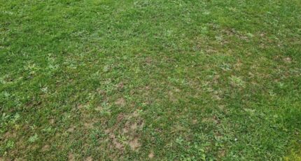 Criquetot-l'Esneval Maison neuve - 2164676-11180annonce1202505210yqmt.jpeg Les Maisons Extraco