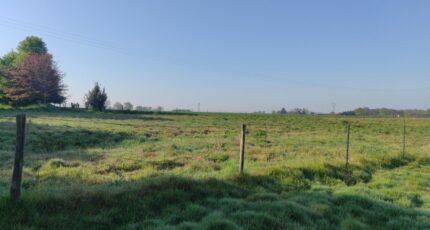 Étainhus Terrain à bâtir - 2166034-11180annonce1202505228r7ZS.jpeg Les Maisons Extraco
