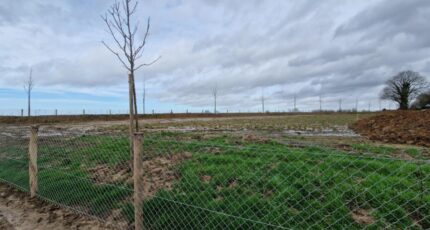 Saint-Laurent-de-Brèvedent Maison neuve - 2166060-11180annonce120250522pv3u9.jpeg Les Maisons Extraco