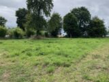 Maison à construire à Fort-Moville (27210) 2167063-11214annonce120250522pwN03.jpeg Les Maisons Extraco
