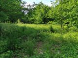Maison à construire à Thoiry (78770) 2166916-5689annonce120250522Dbklu.jpeg Les Maisons Extraco