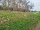 Maison à construire à Saint-Sulpice-sur-Risle (61300) 2168195-11219annonce220250522aaDWh.jpeg Les Maisons Extraco