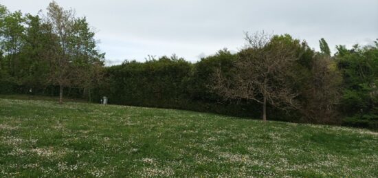 Terrain à bâtir à Vaux-sur-Seine, Île-de-France