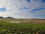 Maison à construire à Bréauté (76110) 2169857-11180annonce120250526gJkyE.jpeg Les Maisons Extraco