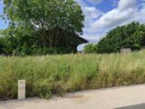 Maison à construire à Maule (78580) 2174438-5689annonce120250528w9ZwK.jpeg Les Maisons Extraco
