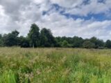 Maison à construire à Fierville-les-Parcs (14130) 2175200-11215annonce120250530t0Q01.jpeg Les Maisons Extraco