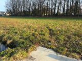 Maison à construire à Auzebosc (76190) 2176160-11217annonce120250531L451S.jpeg Les Maisons Extraco
