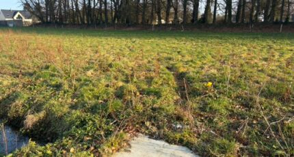 Auzebosc Maison neuve - 2176160-11217annonce120250531L451S.jpeg Les Maisons Extraco