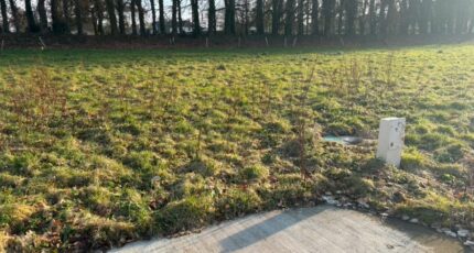 Auzebosc Maison neuve - 2176160-11217annonce220250531ukmhc.jpeg Les Maisons Extraco