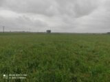 Maison à construire à Pont-Audemer (27500) 2179373-4101annonce120250604ZHpDA.jpeg Les Maisons Extraco