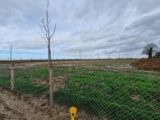 Maison à construire à Saint-Laurent-de-Brèvedent (76700) 2183220-11180annonce120250606dOMvx.jpeg Les Maisons Extraco