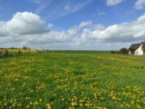 Maison à construire à Vexin Sur Epte (27510) 2118677-5689annonce120250326mJTws.jpeg Les Maisons Extraco