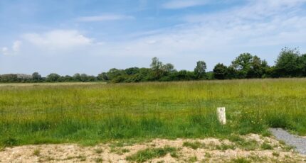 Manerbe Maison neuve - 2182445-11216annonce1202506054tQKV.jpeg Les Maisons Extraco