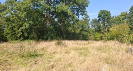 Le Havre Maison neuve - 2186789-11180annonce120250611ZxsZ3.jpeg Les Maisons Extraco