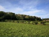 Maison à construire à Cormeilles (27260) 2091050-4101annonce2202502268qutJ.jpeg Les Maisons Extraco