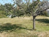 Maison à construire à Elbeuf (76500) 2186191-4102annonce120250610ULFb7.jpeg Les Maisons Extraco