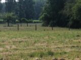 Maison à construire à Vendeuvre (14170) 2191199-11216annonce1202506139BuJz.jpeg Les Maisons Extraco