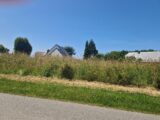 Maison à construire à Bornambusc (76110) 2195566-11180annonce1202506179FySq.jpeg Les Maisons Extraco